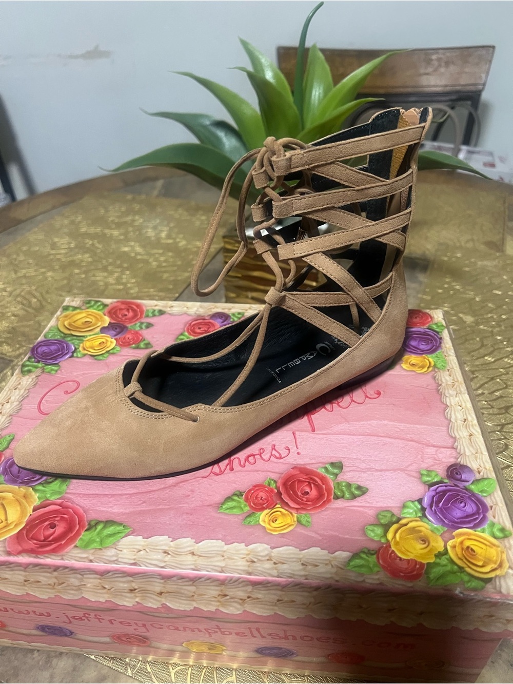 Jeffrey Campbell Flat Ballet Shoe